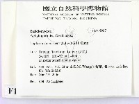 登錄號:F0019987藏品圖，第2張