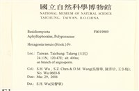 登錄號:F0019989藏品圖，第2張