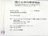 顯絲菌屬藏品圖，第2張