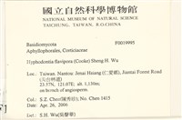 登錄號:F0019995藏品圖，第2張
