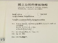 登錄號:F0019997藏品圖，第2張