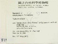 登錄號:F0019999藏品圖，第2張