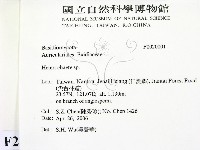 刺皮菌屬藏品圖，第2張