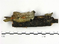 登錄號:F0020002藏品圖，第1張
