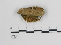 登錄號:F0020003藏品圖，第3張