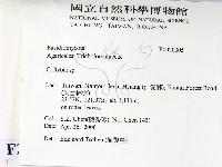登錄號:F0020005藏品圖，第2張