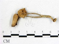 登錄號:F0020005藏品圖，第3張
