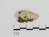 登錄號:F0020006藏品圖，第1張