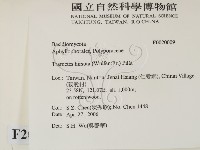 登錄號:F0020009藏品圖，第2張