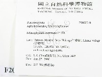 裂褶菌藏品圖，第2張