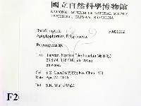 多年臥孔菌屬藏品圖，第2張