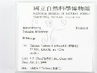 登錄號:F0020016藏品圖，第2張