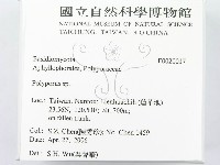 多孔菌屬藏品圖，第2張