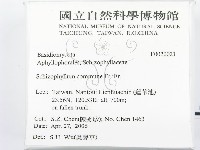 裂褶菌藏品圖，第2張