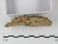 登錄號:F0020022藏品圖，第3張