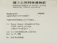 冇骨消絲齒菌藏品圖，第2張