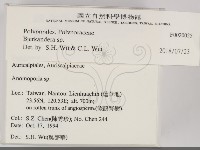 登錄號:F0020025藏品圖，第2張