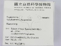 寡孔菌屬藏品圖，第2張