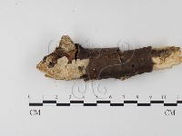 登錄號:F0020027藏品圖，第1張
