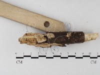 登錄號:F0020027藏品圖，第3張