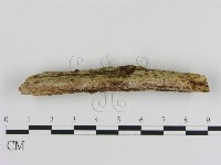 登錄號:F0020028藏品圖，第1張