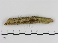 登錄號:F0020028藏品圖，第3張