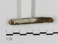 登錄號:F0020030藏品圖，第1張