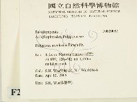 登錄號:F0020032藏品圖，第2張