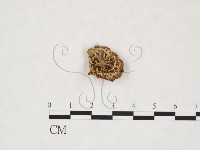 登錄號:F0020032藏品圖，第1張