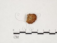 登錄號:F0020032藏品圖，第3張