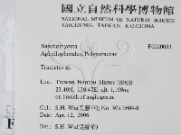 栓菌屬藏品圖，第2張