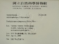 登錄號:F0020034藏品圖，第2張