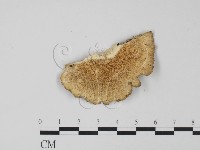 登錄號:F0020035藏品圖，第3張