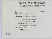 館號:F0020036藏品圖，第2張