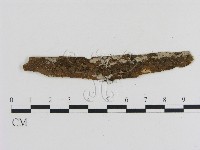 登錄號:F0020038藏品圖，第1張