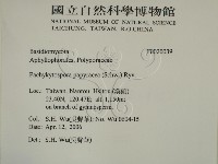 登錄號:F0020039藏品圖，第2張