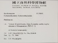 木層孔菌屬藏品圖，第2張