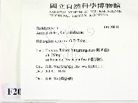 登錄號:F0020041藏品圖，第2張