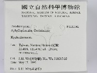 絲皮菌屬藏品圖，第2張