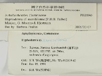登錄號:F0020043藏品圖，第2張