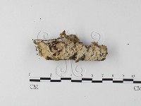 登錄號:F0020044藏品圖，第3張