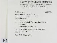絲皮菌屬藏品圖，第2張