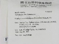 登錄號:F0020047藏品圖，第2張