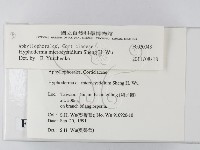 登錄號:F0020048藏品圖，第2張