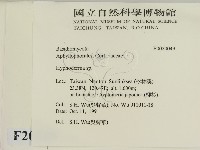 絲皮菌屬藏品圖，第2張