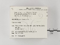 登錄號:F0020050藏品圖，第2張