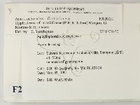 登錄號:F0020051藏品圖，第2張