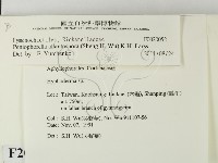 登錄號:F0020052藏品圖，第2張