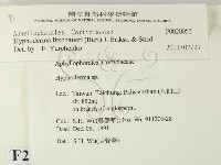 館號:F0020053藏品圖，第2張
