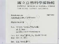 絲皮菌屬藏品圖，第2張